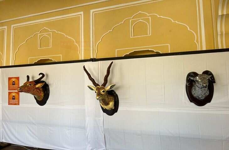 हवामहल पर शुरू हुई म्यूजियम क्रॉनिकल्स प्रदर्शनी, वीडियो में देखें मनीष शर्मा के रिकॉल पर बने आर्टवर्क रहे आकर्षण का केंद्र
