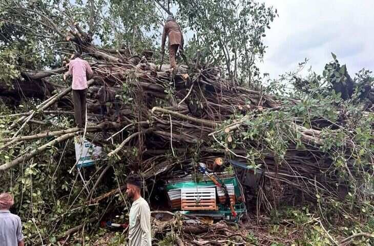 कांगड़ा में ट्रक पर बरगद का पेड़ गिरने से 2 लोगों की मौत