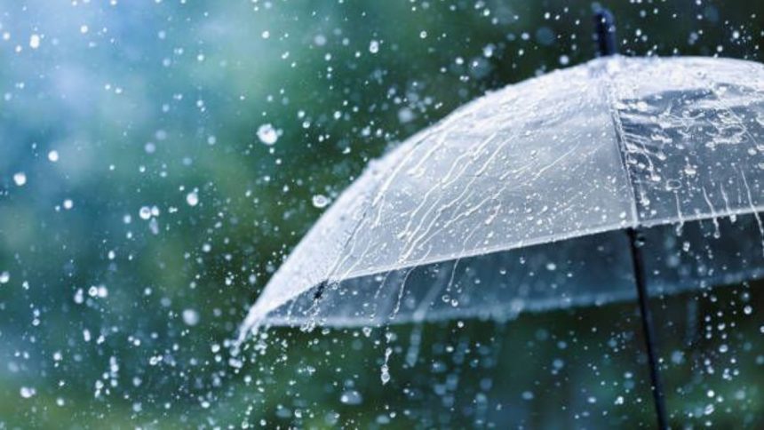 Jharkhand Rain: झारखंड में अगले पांच दिन तेज हवाओं के साथ बसेंगे बादल, इन इलाकों में बारिश का अलर्ट जारी
