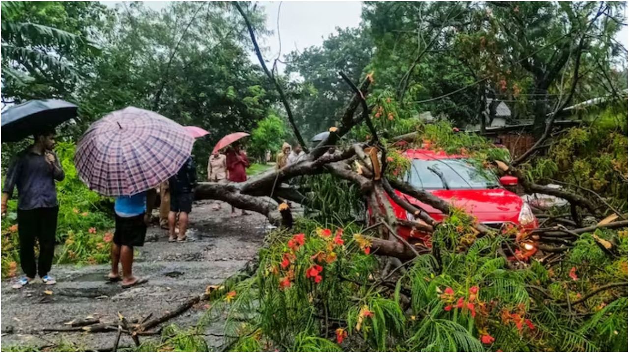 Northeast Heavy Rain: भारत में मानसून का प्रकोप जारी है. पूर्वोत्तर से लेकर दक्षिण तक,...