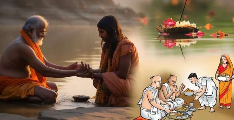 पितरों को प्रसन्न करने का सबसे आसान उपाय, आषाढ़ अमावस्या पर लगा दें ये 2 पौधे, सात जन्मों तक मिलेगी कृपा!