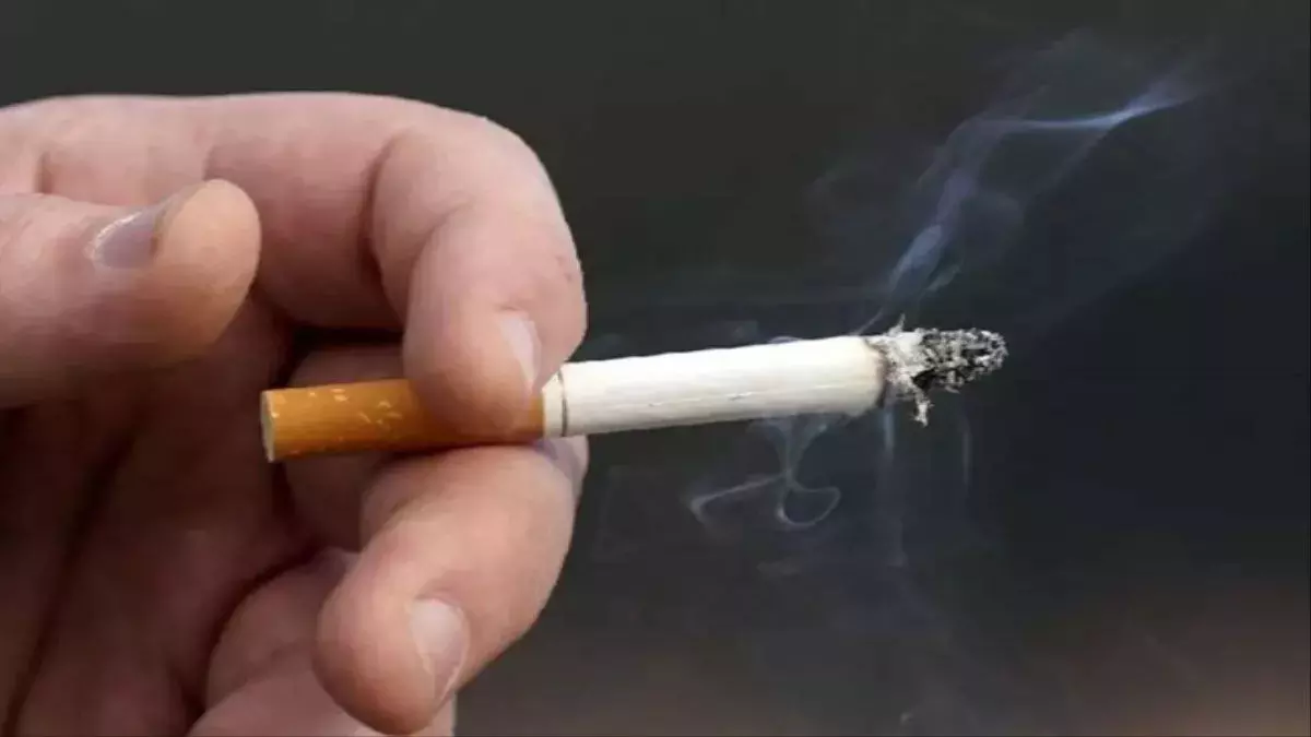 खुले में धुआं उड़ाना और तंबाकू थूकना हुआ महंगा, राष्ट्रपति ने विधेयक को दी मंजूरी