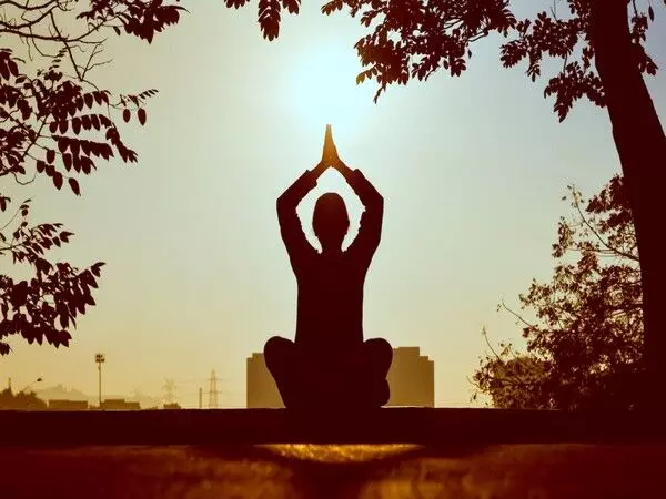 नई दिल्ली में 'योग कनेक्ट 2025' वैश्विक शिखर सम्मेलन कल