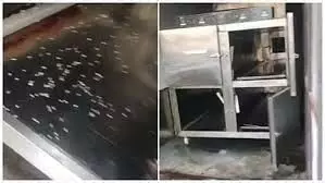 फ्रीजर में कीड़े और करंट, अस्पताल में शव रखने पहुंचे परिजन हैरान