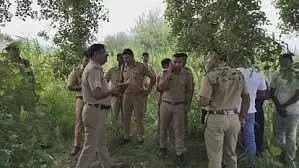 Meerut : खेत के पास पेड़ के नीचे पड़ा मिला युवक का शव, हत्या की आशंका