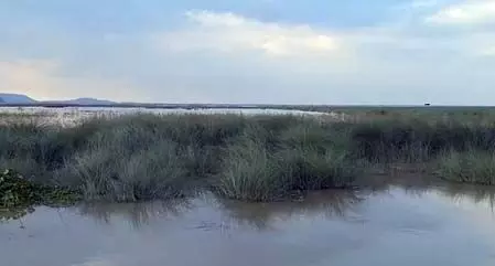 असम: ब्रह्मपुत्र का जलस्तर बढ़ने से जनजीवन प्रभावित, स्थानीय लोगों के सामने भोजन-पानी की चुनौती