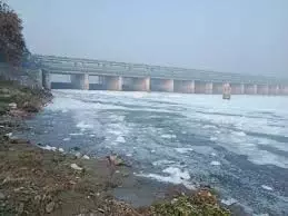 मथुरा यात्रा के बाद दिल्ली में यमुना प्रदूषण रोकने के लिए दो बायोगैस संयंत्र जल्द शुरू