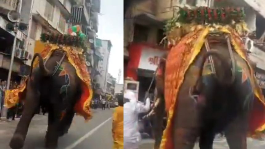 रथ यात्रा के दौरान शुक्रवार सुबह खाडिया के देसाई नी पोल इलाके में अचानक उस...