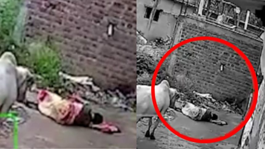 Chhattisgarh News: गरियाबंद जिले के मैनपुर ब्लॉक के ग्राम सारनाबहाल में एक महिला की...