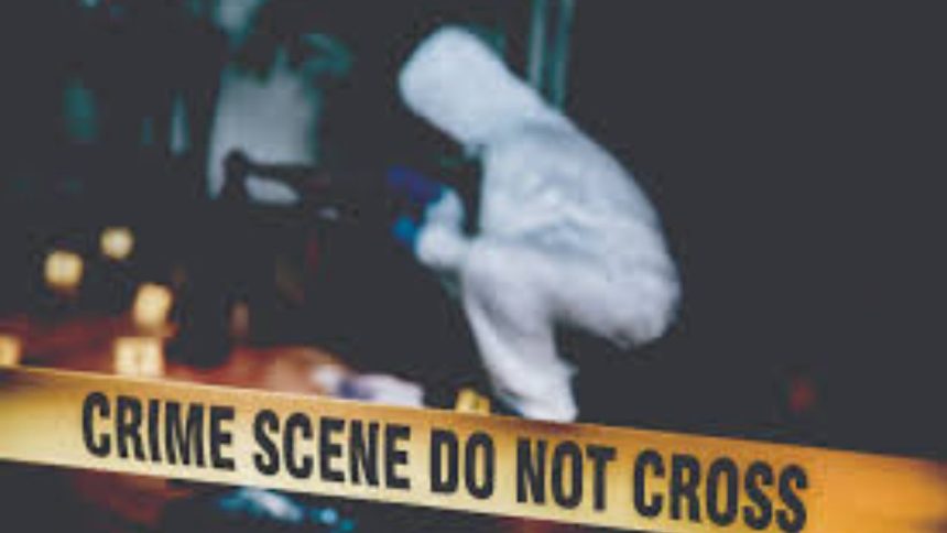 Husband Killed Wife In Haryana: हरियाणा के सिरसा जिले में एक पति ने अपनी पत्नी की बेरहमी से...