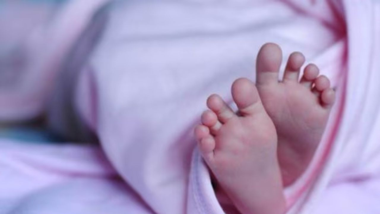 दिल्ली के रोहिणी इलाके में स्थित बाबा साहेब अंबेडकर मेडिकल कॉलेज में एक...