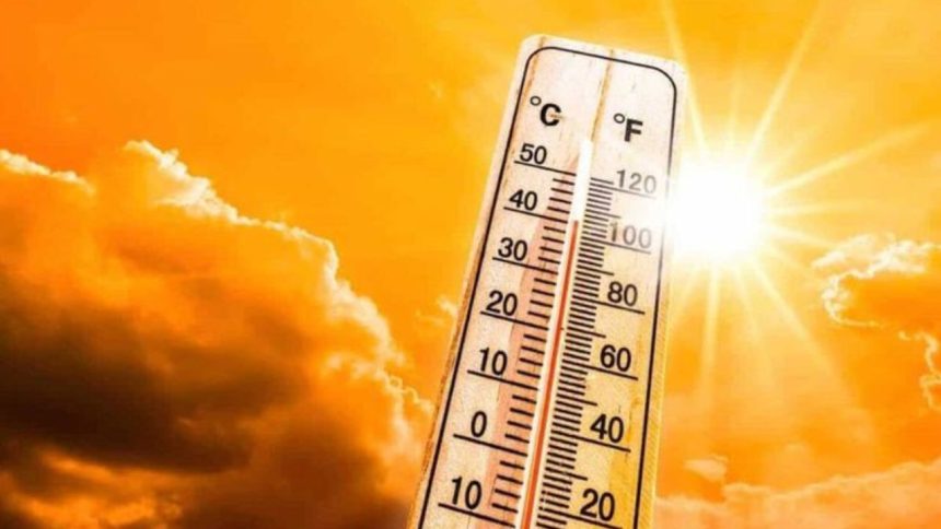 Rajasthan Heatwave: राजस्थान का श्री गंगानगर इलाके में भयंकर गर्मी से लोगों का हाल...