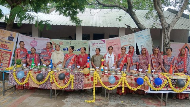 અમદાવાદ જિલ્લામાં PMJANMAN તથા ધરતી આબા જનજાતિય ગ્રામ ઉત્કર્ષ અભિયાન-DA JGUA...