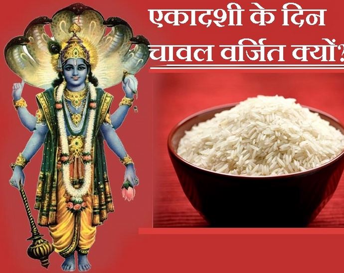 एकादशी के दिन चावल को हाथ भी न लगाना...महर्षि मेधा के शरीर से की जाती है तुलना
