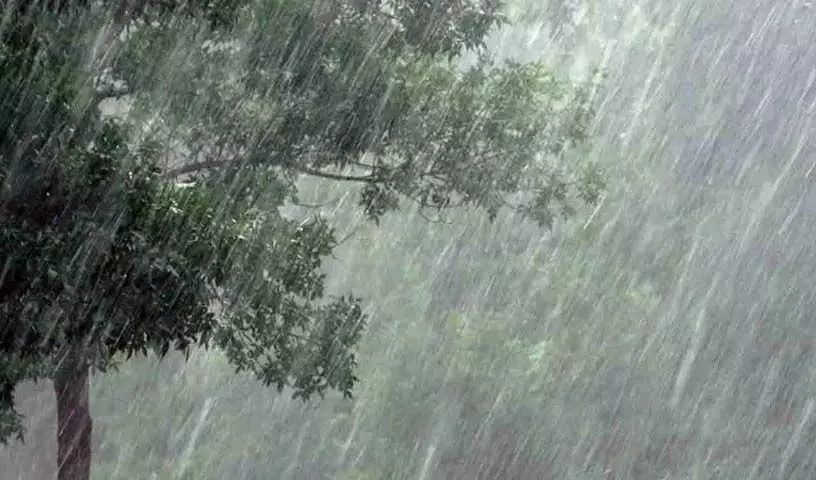 इन दो जिलों में भारी बारिश की संभावना.. IMD ने जारी किया येलो अलर्ट