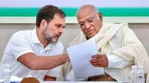 भाजपा गांधीवादी आदर्शों को खत्म कर रही: दिल्ली कांग्रेस प्रमुख