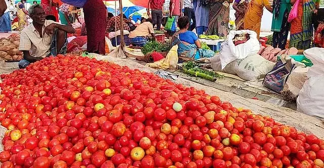 टमाटर की कीमतों में तेजी से उछाल: 50 रुपये प्रति किलो बिक रहा टमाटर