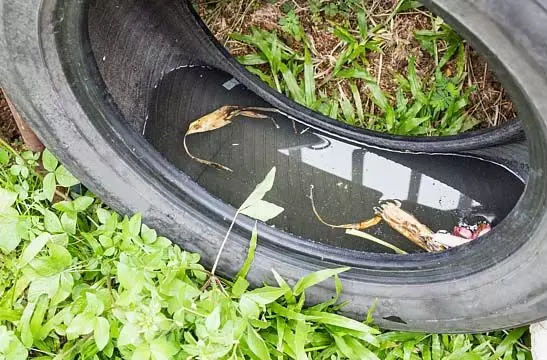 पानी मिलने पर नगर निगम विभाग जारी करेगा अग्रिम सूचना