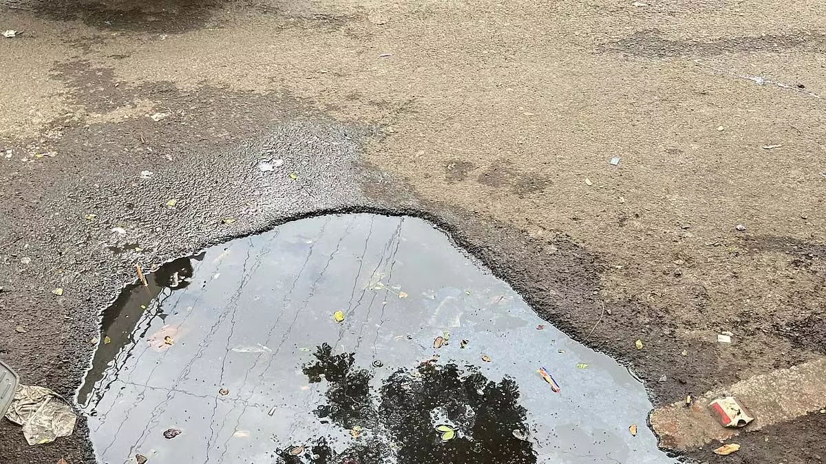 कल्याणी नगर में मच्छरों का प्रकोप, PMC से तत्काल कार्रवाई की मांग