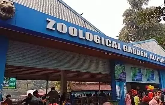 Alipore Zoo में जानवरों की संख्या को लेकर भारी भ्रम