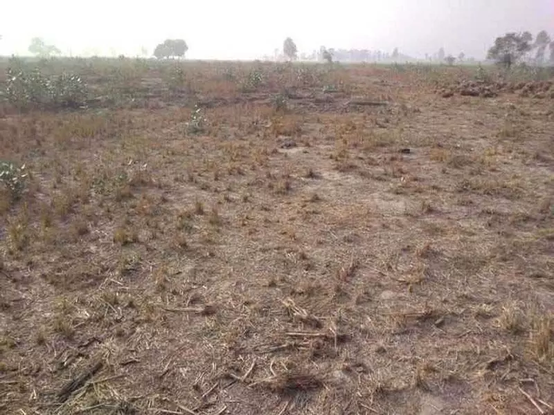 पंजाब सरकार का भूमि पूलिंग नीति में संशोधन, नए नियम लागू