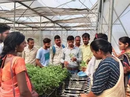 सफलता की कहानी: स्वच्छता से स्वावलंबन की ओर, ग्राम अण्डा बना प्रेरणादायक मॉडल