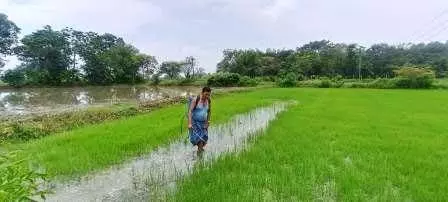 सरकार की मदद से खेती में खुशहाली, किसानों का कहना-अब खेती मुनाफे का सौदा