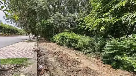Noida : खोदी गई सड़कें, निवासियों के लिए मुसीबत