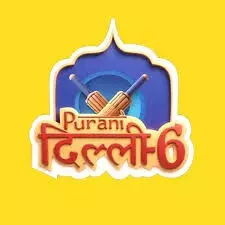 डीपीएल 2025: मजबूत टीम के साथ चार अगस्त से सीजन की शुरुआत करेगी पुरानी दिल्ली 6