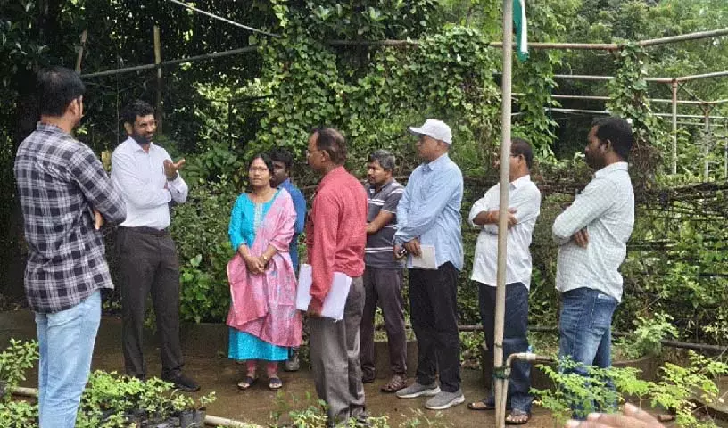 उद्यानिकी नर्सरी प्रशिक्षण केंद्र विकसित किया जाए: कलेक्टर जितेश वी पाटिल