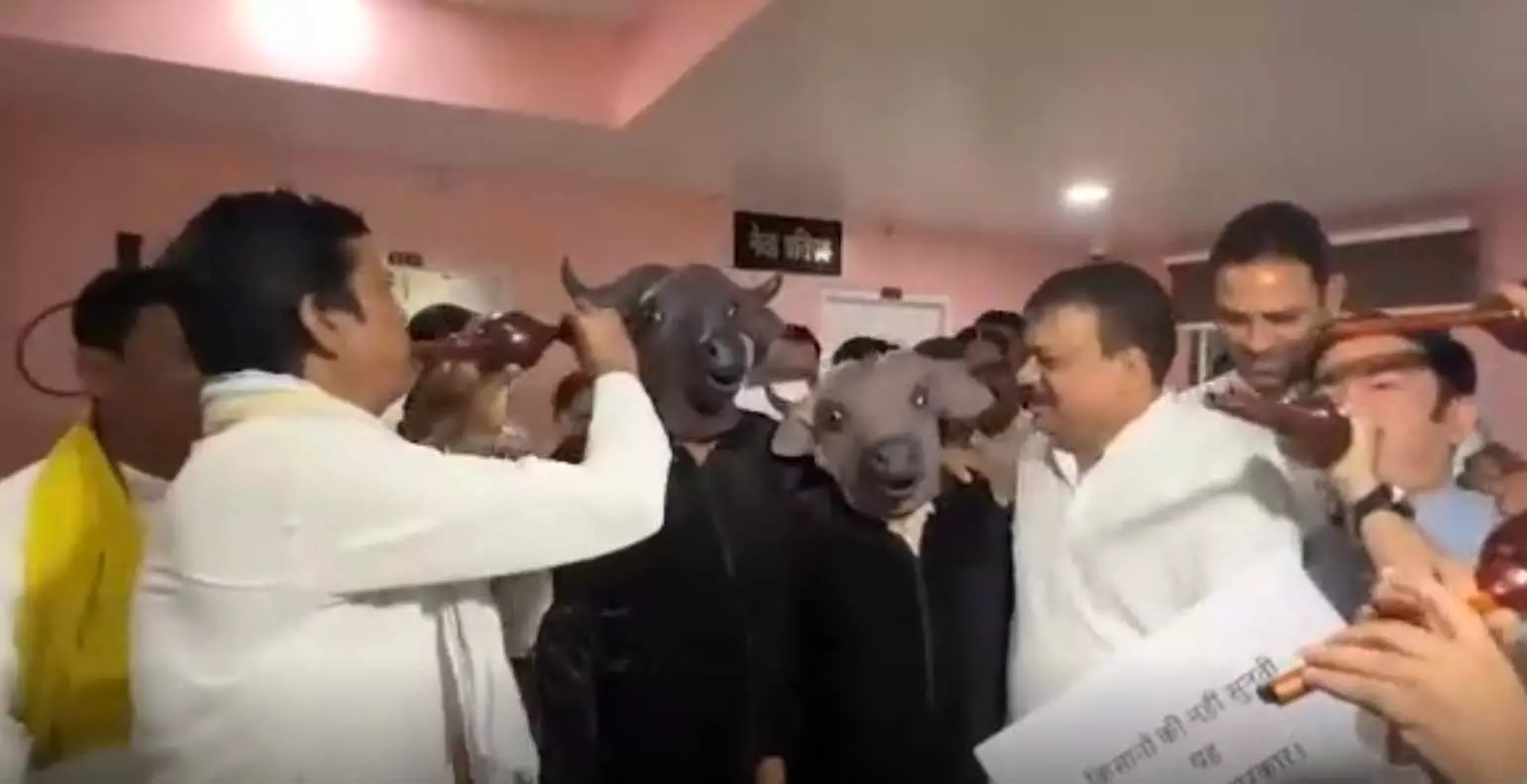 ऐसा अनोखा प्रदर्शन नहीं देखा होगा आपने...