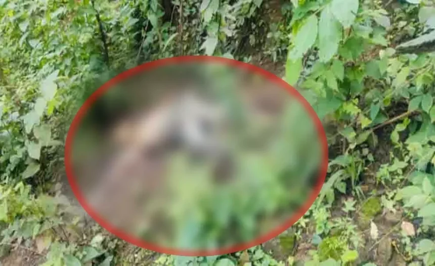 लापता पूर्व विधायक के भाई की जंगल में मिली सड़ी-गली लाश, हत्या की आशंका