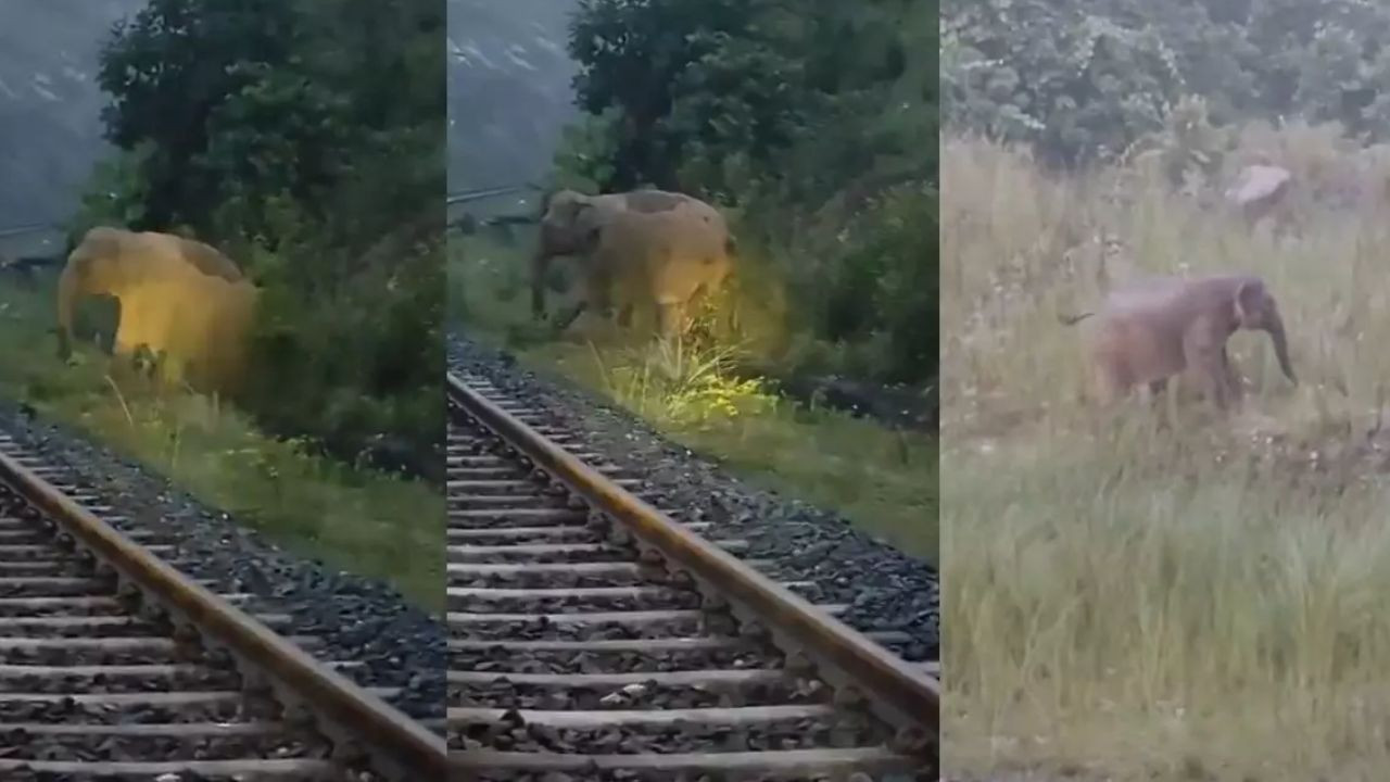 झारखंड के रामगढ़ जिले में एक अनोखा और दिल को छू लेने वाला वाक्या सामने आया...