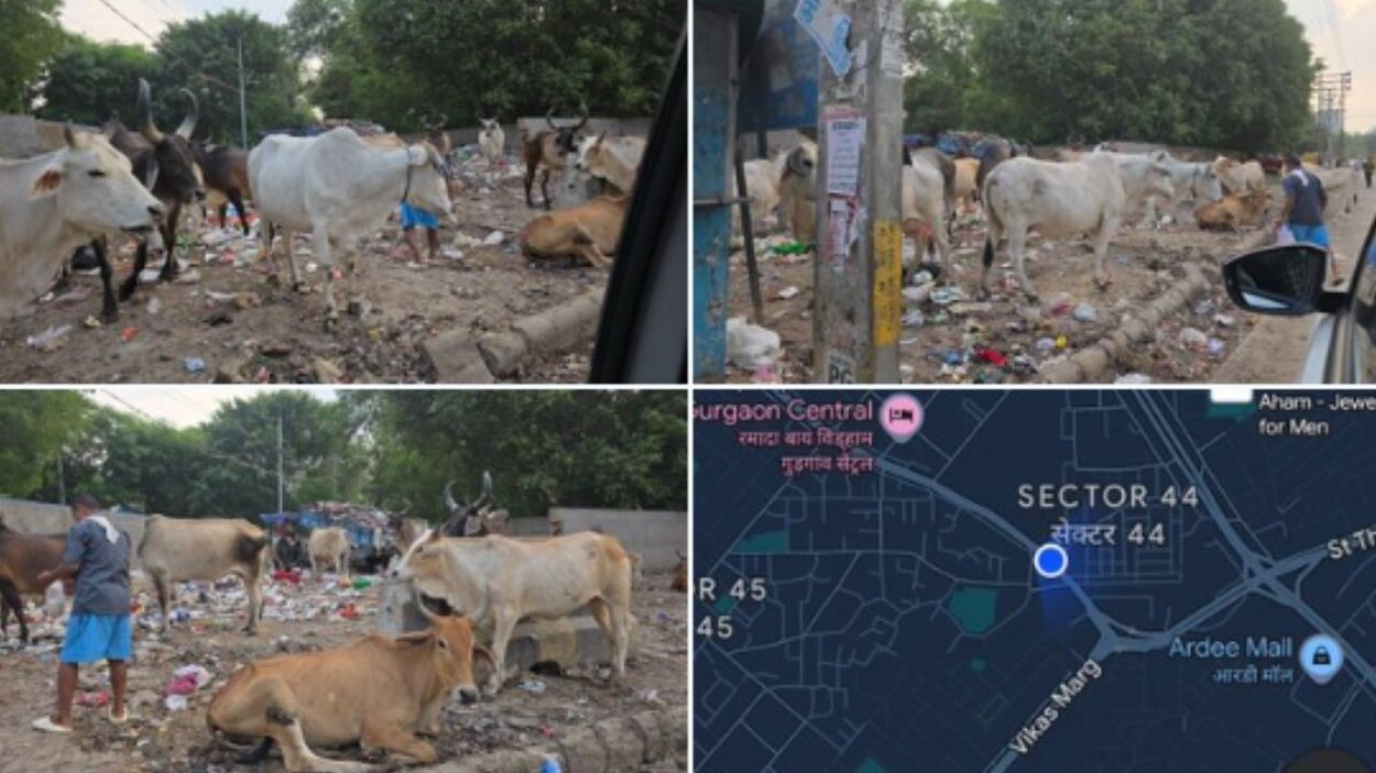 पूर्व जेट एयरवेज सीईओ संजीव कपूर ने गुरुग्राम की गंदगी और बदइंतजामी पर...