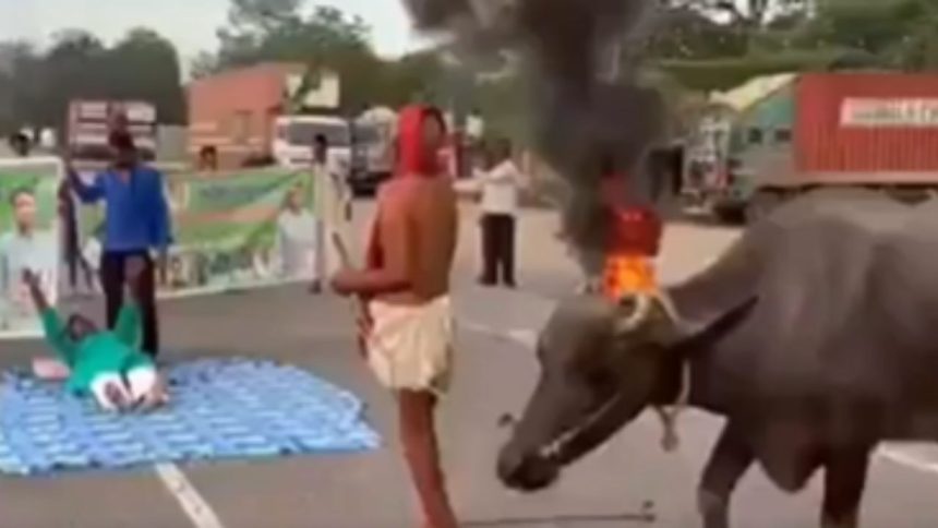 Kedar Prasad Viral Video: बिहार बंद में आरजेडी नेता केदार प्रसाद ने अनोखा विरोध किया. सड़क...