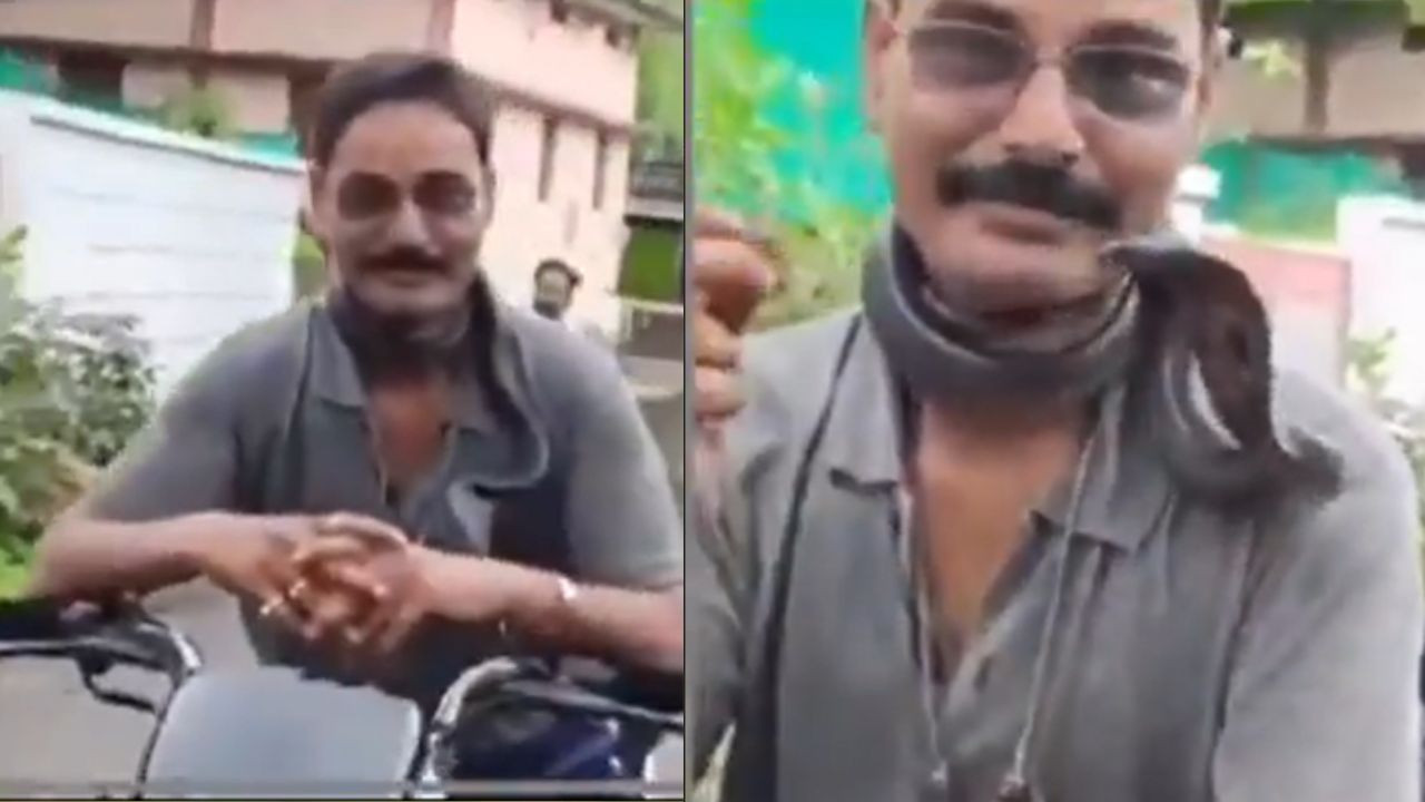 MP Man Dies By Cobra Bite: मध्य प्रदेश के गुना जिले में दीपक महावर नामक एक व्यक्ति ने कोबरा...