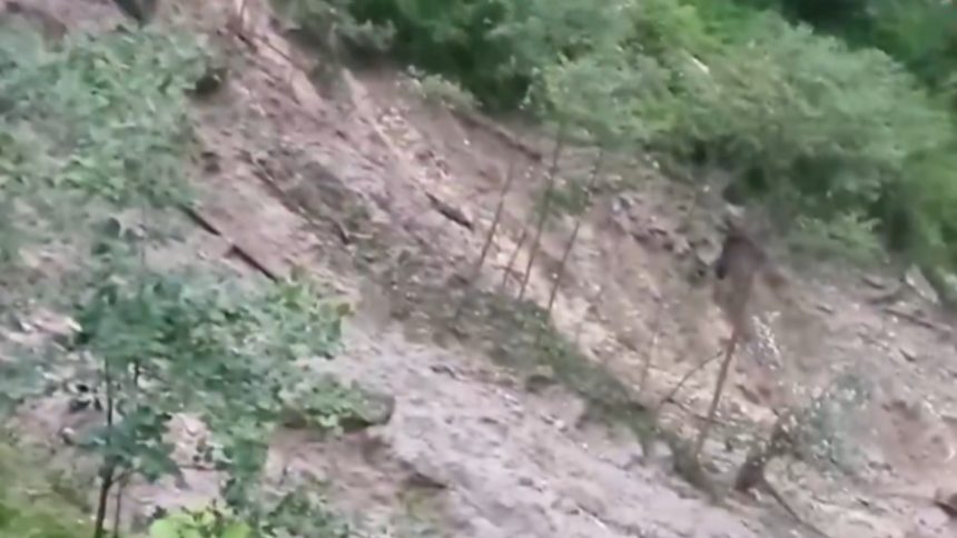 उत्तराखंड के कई हिस्सों में भारी बारिश हो रही है और पहाड़ियों से मलबा...