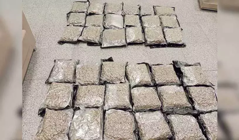 Shamshabad हवाई अड्डे पर 40 करोड़ रुपये का गांजा जब्त