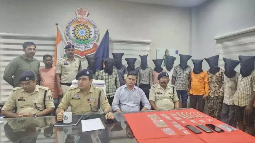खैरागढ़ में 9 चोरी की वारदातों का खुलासा, 12 आरोपी गिरफ्तार