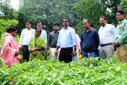कलेक्टर कन्नौजे ने जैविक खेती करने वाली महिला किसान गोपिका प्रधान के कार्य को सराहा