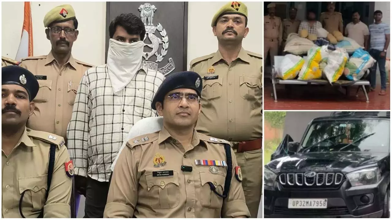 STF और नगराम पुलिस की संयुक्त कार्रवाई में 40 लाख का गांजा बरामद, एक तस्कर गिरफ्तार