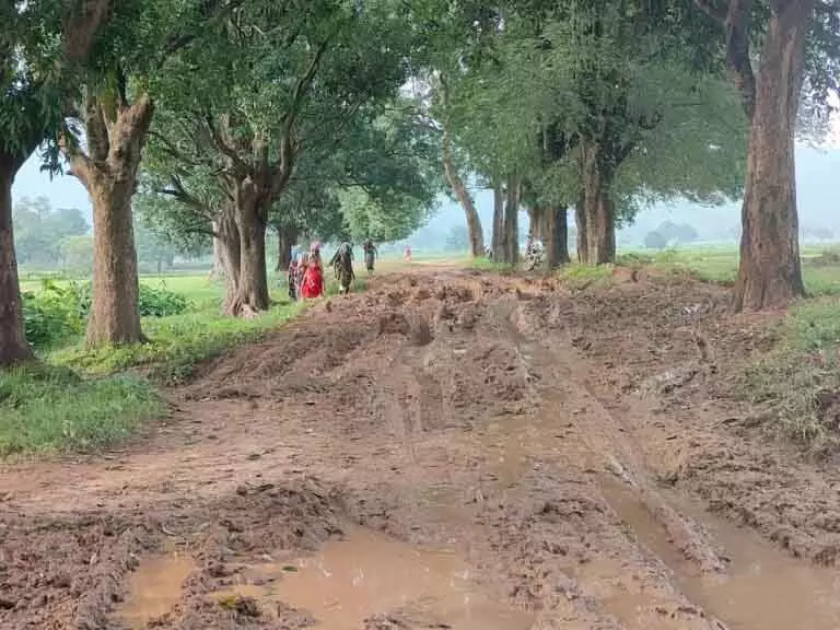 खराब सड़कों ने रोकी एंबुलेंस, बीमार महिला को पैदल ले जाना पड़ा अस्पताल | Bad roads stopped the ambulance, the sick woman had to be taken to the hospital on foot | खराब सड़कों ने रोकी एंबुलेंस, बीमार महिला को पैदल ले जाना पड़ा अस्पताल
