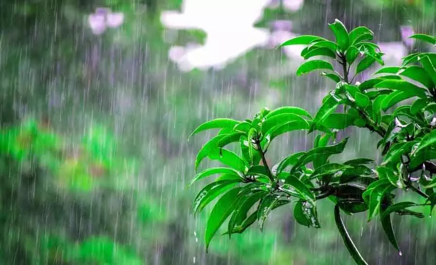 हिमाचल में अब तक 208 लोगों की मौत, 37 लापता | So far 208 people have died in Himachal, 37 are missing | हिमाचल में अब तक 208 लोगों की मौत, 37 लापता