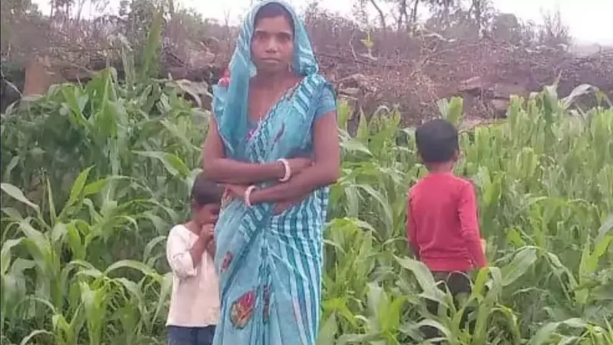 Shivpuri: सोते समय सांप के काटने से महिला और उसके दो बेटों की मौत | Shivpuri: सोते समय सांप के काटने से महिला और उसके दो बेटों की मौत,Shivpuri: A woman and her two sons died due to snake bite while sleeping