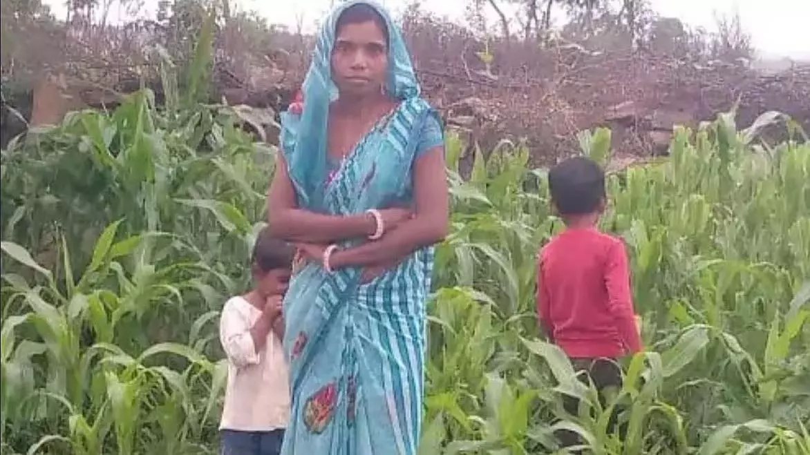 Shivpuri: सोते समय सांप के काटने से महिला और उसके दो बेटों की मौत | Shivpuri: सोते समय सांप के काटने से महिला और उसके दो बेटों की मौत,Shivpuri: A woman and her two sons died due to snake bite while sleeping