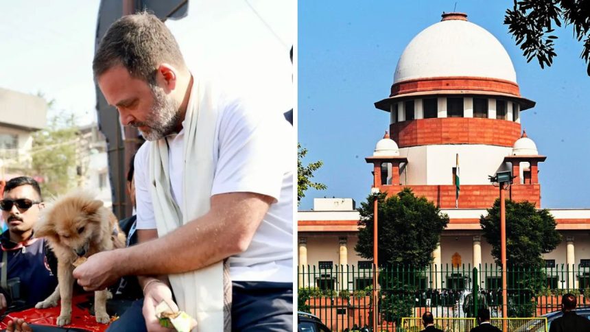 सुप्रीम कोर्ट ने आठ हफ्तों में दिल्ली-एनसीआर से सभी आवारा कुत्तों को हटाकर...