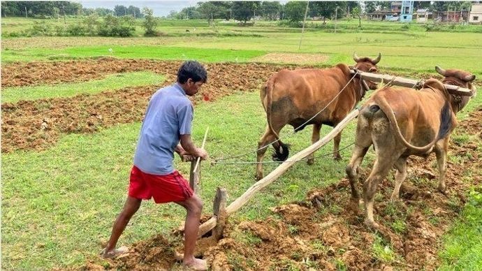 Agri Stock