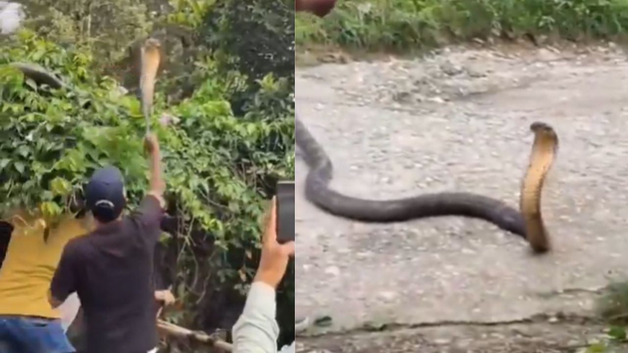 देहरादून के विकासनगर इलाके में एक ऐसी घटना सामने आई है, जिसने स्थानीय...