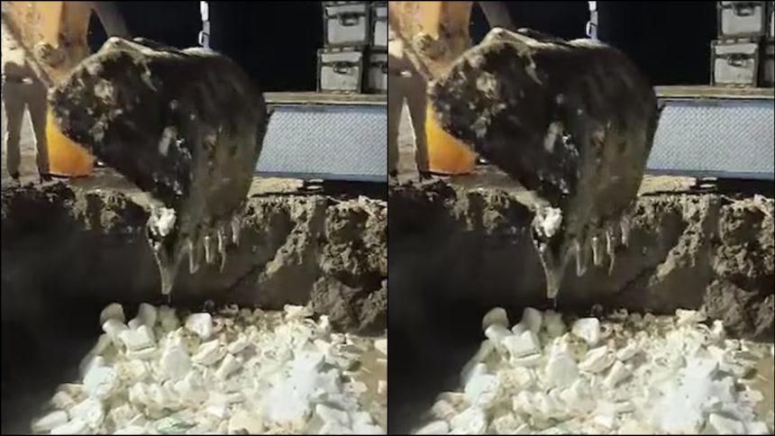 Fake Paneer Seized: दिल्ली-एनसीआर में सप्लाई के लिए जा रहा 1150 किलो नकली और बदबूदार पनीर...