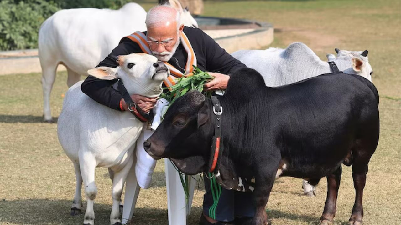 पीएम मोदी ने कहा- 'हाल ही में मैं पशु प्रेमियों से मिला.' इतना सुनते ही लोग...